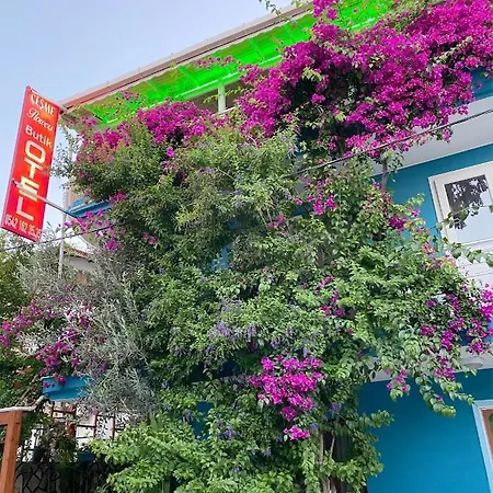 Daire Flowers Butik Çeşme